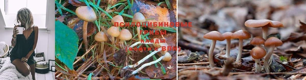 гашиш Алексин