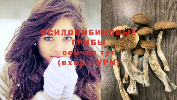 гашиш Алексин