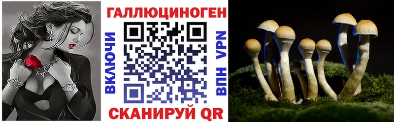 Галлюциногенные грибы GOLDEN TEACHER  ОМГ ОМГ зеркало  Яровое 